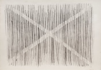 בני אפרת, עיפרון על נייר, 40x28 ס"מ