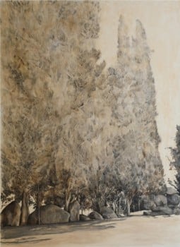 הדר גד, 2008, שמן על בד, 160x120 ס"מ